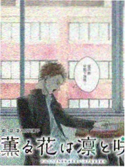 乘风2024 YY影院